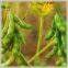 Quality Soybean Oil, Corn Oil, Sunflower Oil from USA