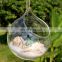 terrarium glass terrarium round clear glass globe ball terrarium Planters Container Glass Flower Vase