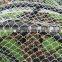 bird netting 20 x 20 m, Agriculture bird netting, Bird protect netting