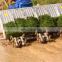 Mini manual rice transplanter , 2 rows paddy rice transplanter