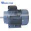 AC gost electric motor