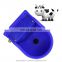 Pig cattle cow horse drinking water bowl