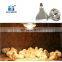 infrared Heat lamp for pig livestock farm animals