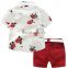 2020 hot sale fashion, Summer Boys Clothing Sets Children Clothing Set Kids Boy Clothes Flower Tie Shirts+Shorts 2PCS Gentleman