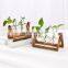 Handmade sets of Rectangle Shape Wood Hydroponics Flower Pot Bulb Glass VaseTerrariums Air Planter