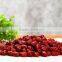 Factory Supply Efficient Fruit Washing Machine