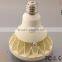 energy saving Par38/56 led bulb IP65 par56 LED bulb 40w