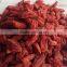 Health Food Goji Berries Organic