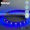 Purple 5050 SMD LED Strips light IP65, flexible LED ribbons light