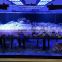 Wireless Osram 3w chips 120cm aquarium led lighting for saltwater reef tank