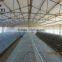 China Professional Made Good Price Wire Mesh Layer Quail Cages And Quail Cages Design