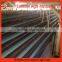 New style hot sell sale of laying quail cage