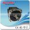 High speed brushless dc motor