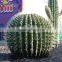 Simulation fiberglass farm decoration statue