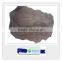 Park decoration artificial life size dinosaur bones