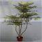 artificial plant Cedrela tree