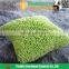 custom wholesale home polyester cheap decorative modern sofa pillows
