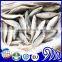 IQF Frozen Small Eye Horse Mackerel Decapterus Maruadsi