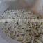 egyptian white Kidney beans