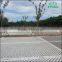 Concreting plant ecology pouring pile strawberry flower grass ground floor parking lot pavement Stone clover mold