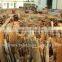 Split cassia, Cinnamon from Vietnam - Best selling & best price!