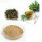 Good Flavour Green Tea Extract with tea polyphenols 40%-98% and EGCG