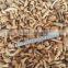 Frozen nameko top quality