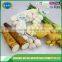 Garlic exporters china