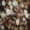 New Crop Frozen Boletus Edulis