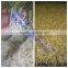150kg per day Barley Grass Sprout machine for animal feed