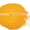 hot sale corn gluten meal with good quality
