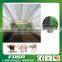 Chicken Manure Fertilizer Solution fertilizer pellet making plant