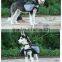 backpack for dog
