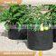 High Quality Tomato Grow Bag Wholesale