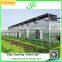 Galvanized steel structure glass cover used commercial greenhouses