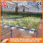 Vegetable Product Venlo Glass Green House Hydroponic System