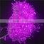 Waterproof outdoor wholesale factory led 220V LED string light RGB light