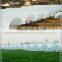 Single span plastic film mushroom greenhouse