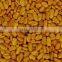 Fenugreek seed sortex quality