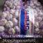 4.5-5cm Normal White Chinese Fresh Garlic In Mesh Bag Packing