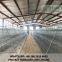 chicken cage automatic system for sale in Ghana, good quality material chicken cages