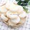 Fresh Frozen vegetables Non Worm IQF Frozen Slice White Radish