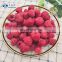 Sinocharm Frozen Wholesale IQF Berries Frozen IQF Raspberry
