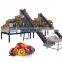 Shuliy automatic hazelnut almond nut shell cracker machine cashew nut breaker