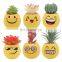 Amazon Cute Emoticons Indoor Artificial Faux Potted Variegated Plants Haworthia Succulent Cactus Plants Potted Bonsai