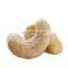 raw  white whole cashew buyers cashew nuts splits cashew nuts 2022