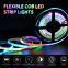 Commercial Dream Full Color RGBIC DC5V Magic Digital No Light Point 1008/m Smart Addressable RGB COB LED Strips