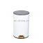 Stainless Steel Bin Garbag Garbage Sorting Commercial 10L Kitchen Container Sanitary Round Trash Can