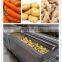 Factory Genyond sweet potato/ onion/walnut/ carrot brush washer washing machine peeling cleaning machine