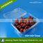 Bento Box Clear Plastic Disposable Pet Fruit Container